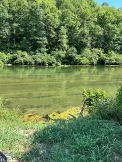 View/Area - 876 County Road 368, Dora, MO 65637 photo 1 of 1