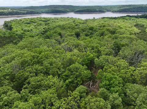lot40 41 Timber Shoals Rd, Cedar Creek, MO 65627