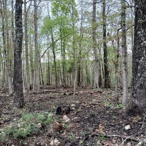 6512 County Road 3850, Peace Valley, MO 65788