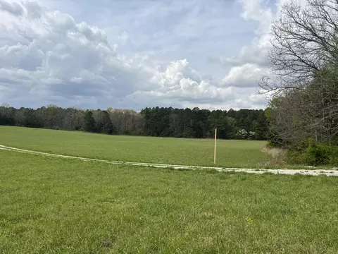 14953 County Road 615, Birch Tree, MO 65438