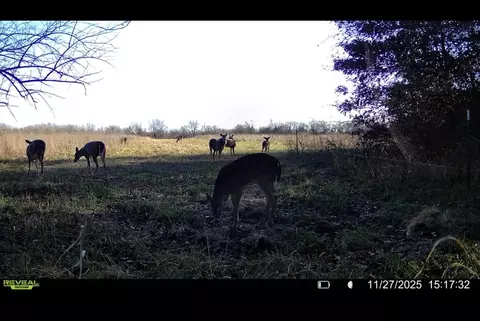 Other - 8903 N State Highway Z, Willard, MO 65781 photo 10 of 13