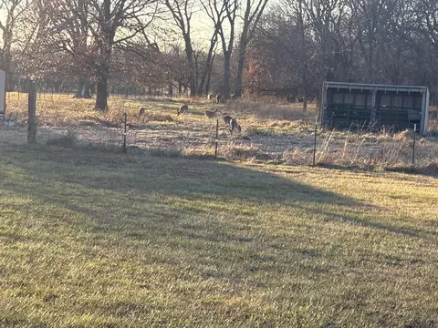 Other - 8903 N State Highway Z, Willard, MO 65781 photo 11 of 13