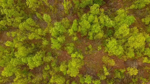 000 Union Hill Rd, Mammoth Spring, AR 72554 photo 5