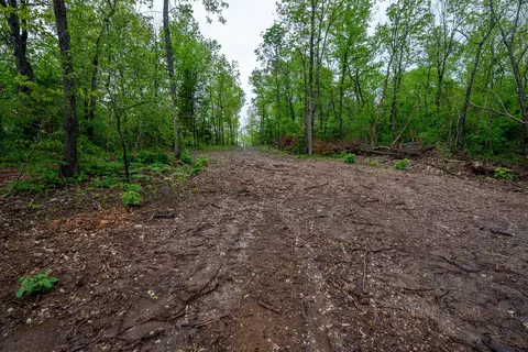 000 Union Hill Rd, Mammoth Spring, AR 72554 photo 17