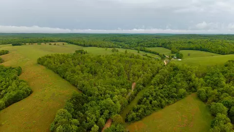 000 Union Hill Rd, Mammoth Spring, AR 72554 photo 6