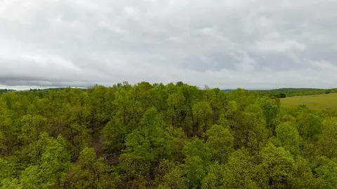 000 Union Hill Rd, Mammoth Spring, AR 72554 photo 11