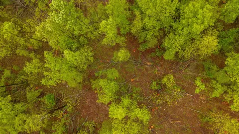 000 Union Hill Rd, Mammoth Spring, AR 72554 photo 4