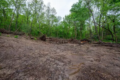 000 Union Hill Rd, Mammoth Spring, AR 72554 photo 16