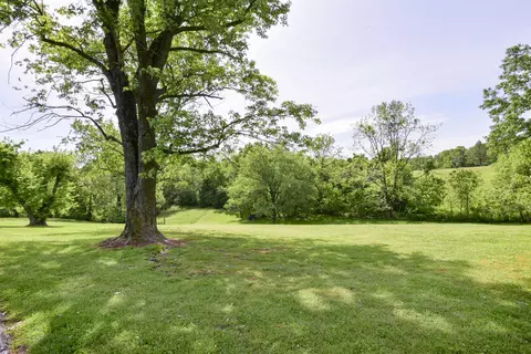 Exterior - 1338 Blackberry Ln, Crane, MO 65633 photo 13 of 13