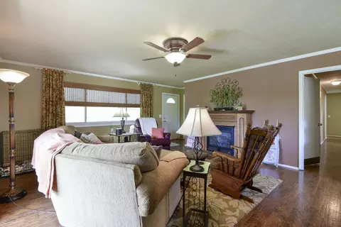 Other - 1338 Blackberry Ln, Crane, MO 65633 photo 3 of 14