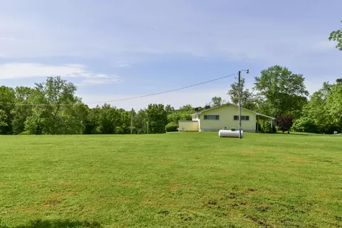 Exterior - 1338 Blackberry Ln, Crane, MO 65633 photo 11 of 13