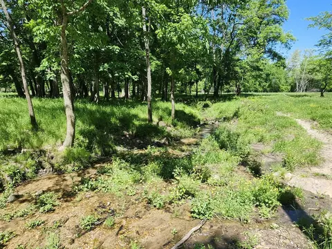 Other - tbd High Dr, Hartville, MO 65667 photo 8 of 19
