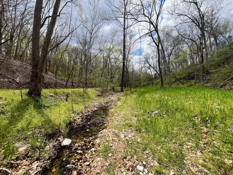 000 Farm Road 2170, Exeter, MO 65647 photo 87