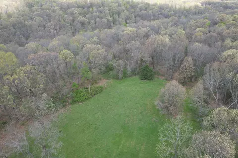 000 Farm Road 2170, Exeter, MO 65647 photo 21