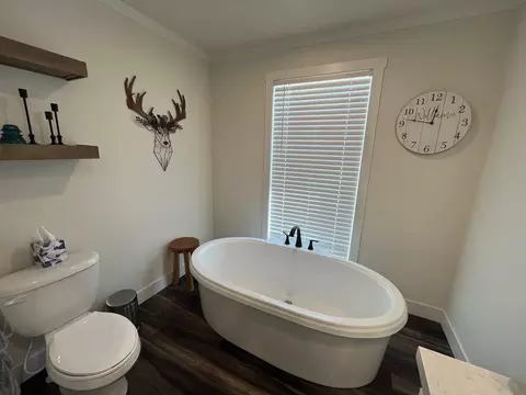 000 Farm Road 2170, Exeter, MO 65647 photo 79