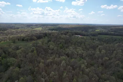 000 Farm Road 2170, Exeter, MO 65647 photo 15