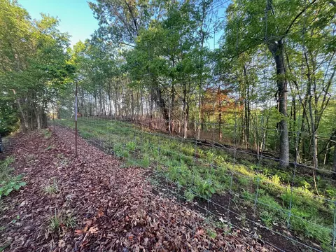 000 Farm Road 2170, Exeter, MO 65647 photo 6