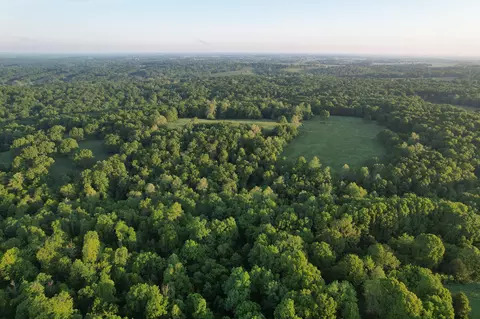 000 Farm Road 2170, Exeter, MO 65647 photo 67