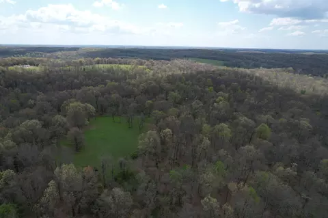 000 Farm Road 2170, Exeter, MO 65647 photo 33