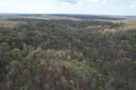 000 Farm Road 2170, Exeter, MO 65647 photo 31