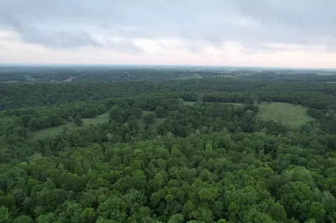 000 Farm Road 2170, Exeter, MO 65647 photo 39