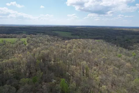 000 Farm Road 2170, Exeter, MO 65647 photo 34