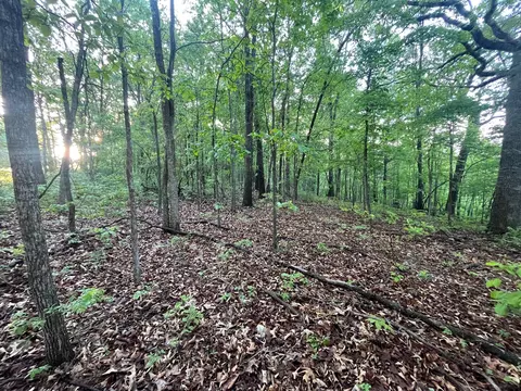 000 Farm Road 2170, Exeter, MO 65647 photo 2