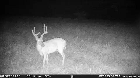 000 Farm Road 2170, Exeter, MO 65647 photo 95