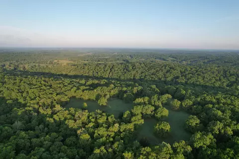 000 Farm Road 2170, Exeter, MO 65647 photo 60