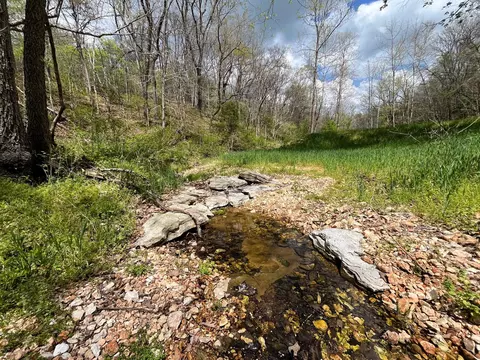 000 Farm Road 2170, Exeter, MO 65647 photo 86