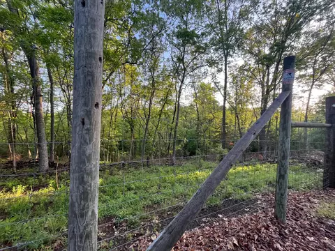 000 Farm Road 2170, Exeter, MO 65647 photo 7