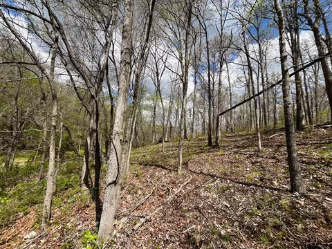000 Farm Road 2170, Exeter, MO 65647 photo 85