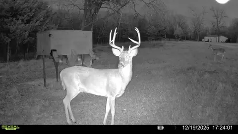 000 Farm Road 2170, Exeter, MO 65647 photo 92