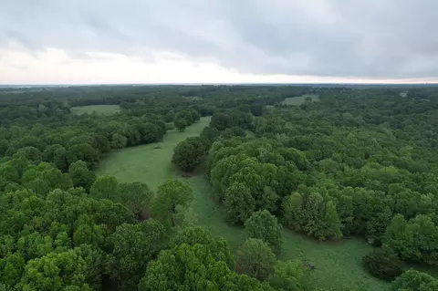 000 Farm Road 2170, Exeter, MO 65647 photo 37
