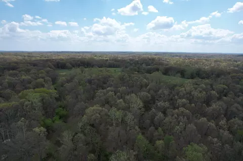 000 Farm Road 2170, Exeter, MO 65647 photo 30