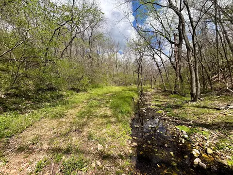 000 Farm Road 2170, Exeter, MO 65647 photo 84