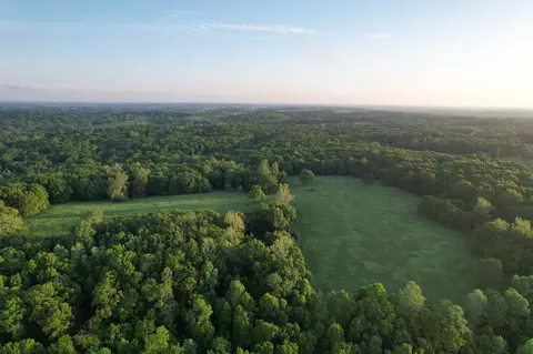 000 Farm Road 2170, Exeter, MO 65647 photo 54