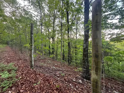 000 Farm Road 2170, Exeter, MO 65647 photo 5