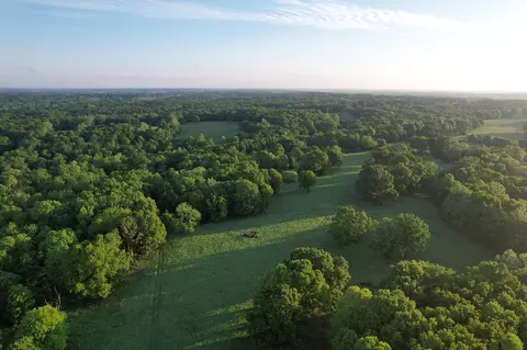 000 Farm Road 2170, Exeter, MO 65647 photo 66