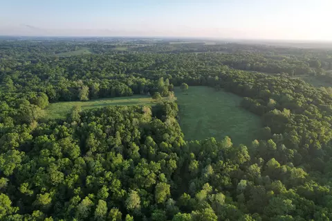 000 Farm Road 2170, Exeter, MO 65647 photo 68