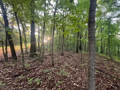 000 Farm Road 2170, Exeter, MO 65647 photo 3
