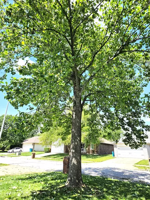 Other - 4810 W Tarkio St, Springfield, MO 65802 photo 6 of 6