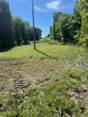 3020 State Hwy W, Dora, MO 65637 photo 17