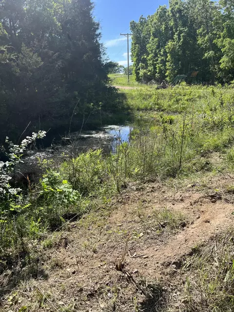 3020 State Hwy W, Dora, MO 65637 photo 8
