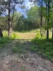 3020 State Hwy W, Dora, MO 65637 photo 18