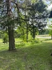 3020 State Hwy W, Dora, MO 65637 photo 16