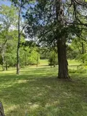 3020 State Hwy W, Dora, MO 65637 photo 12