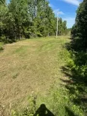 3020 State Hwy W, Dora, MO 65637 photo 15