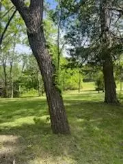 3020 State Hwy W, Dora, MO 65637 photo 14
