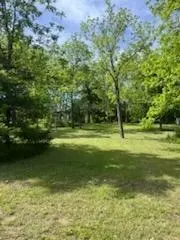 3020 State Hwy W, Dora, MO 65637 photo 13